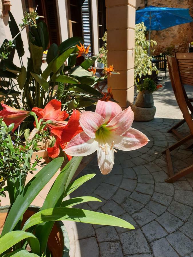 Hotel Segles - Turismo De Interior กัมโปส ภายนอก รูปภาพ